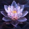 Light in the Breath